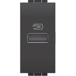 Cargador USB Tipo A + Toma Doble 2P+T 10A 250V  Antracita Living Light Semi Armada